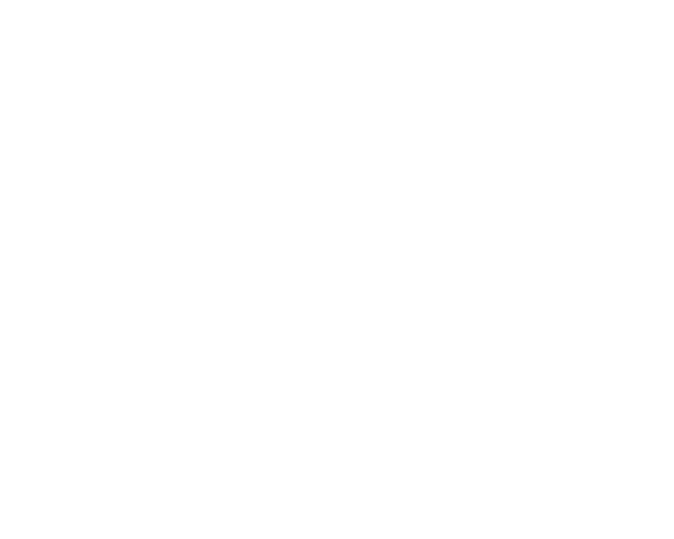 screen size icon